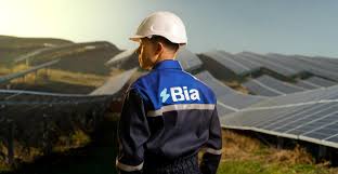 Infraestructura eléctrica de Bia